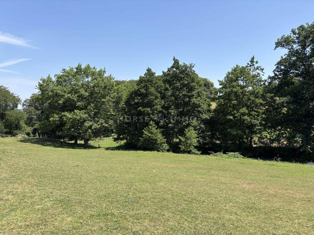 Hippisch vastgoed Koop Calvados