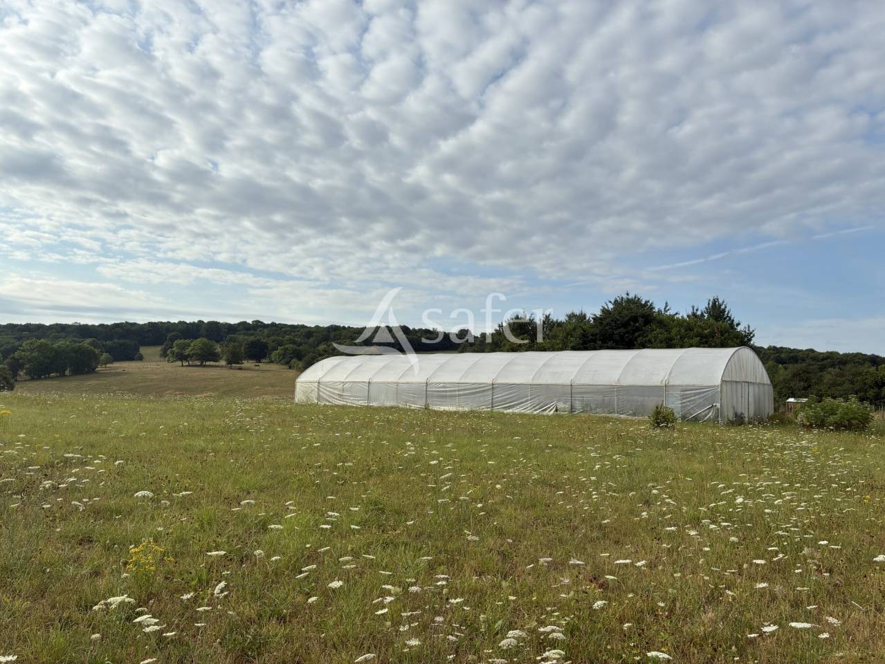 Landbouw bedrijf Koop Haute-Saône