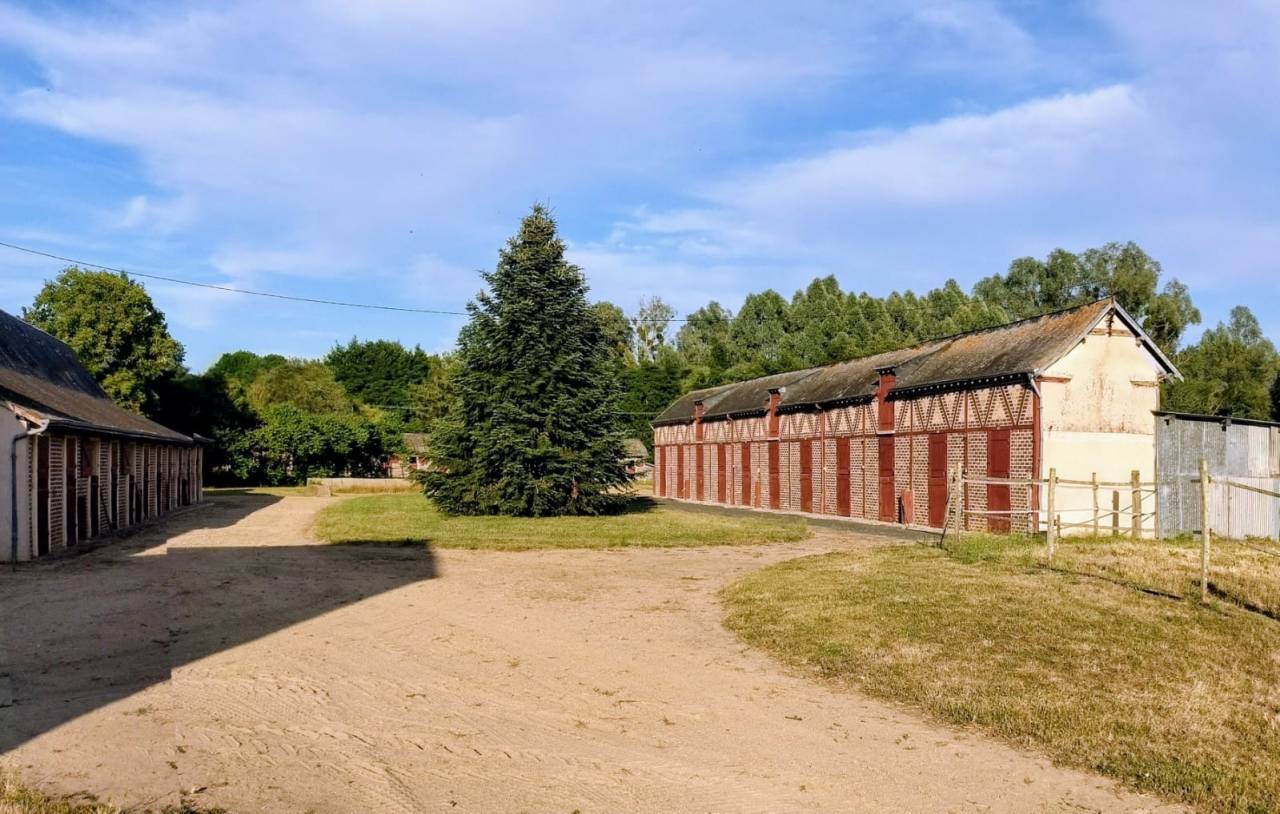 Stoeterij Koop Sarthe