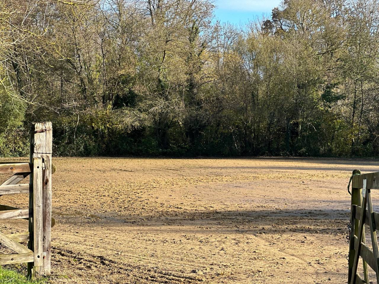 Stoeterij Koop Sarthe