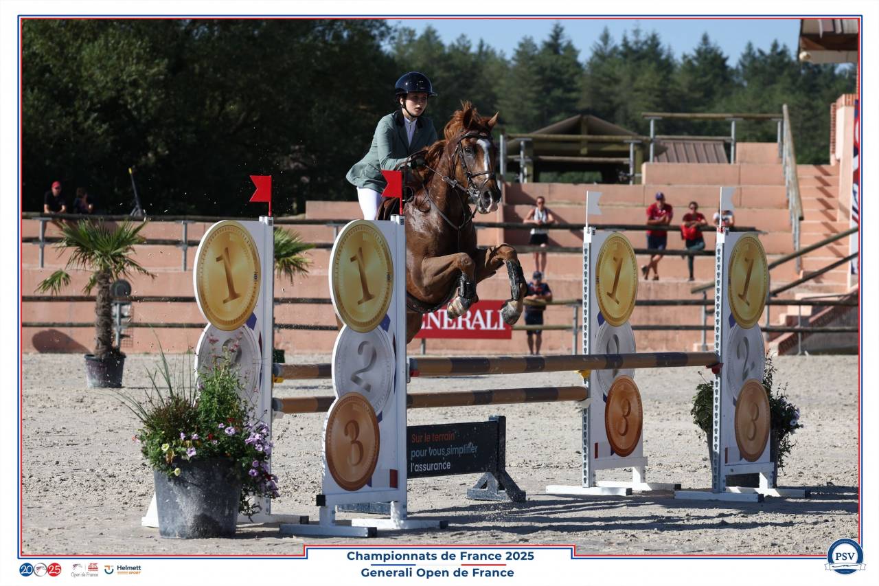 Ruin Franse rijpony PFS Te koop 2013 Koffie vos ,  Créole D'Angrie