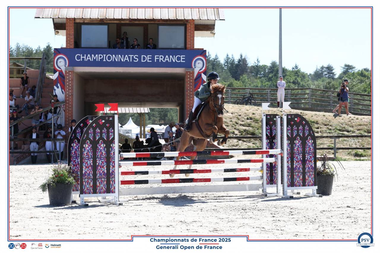 Ruin Franse rijpony PFS Te koop 2013 Koffie vos ,  Créole D'Angrie