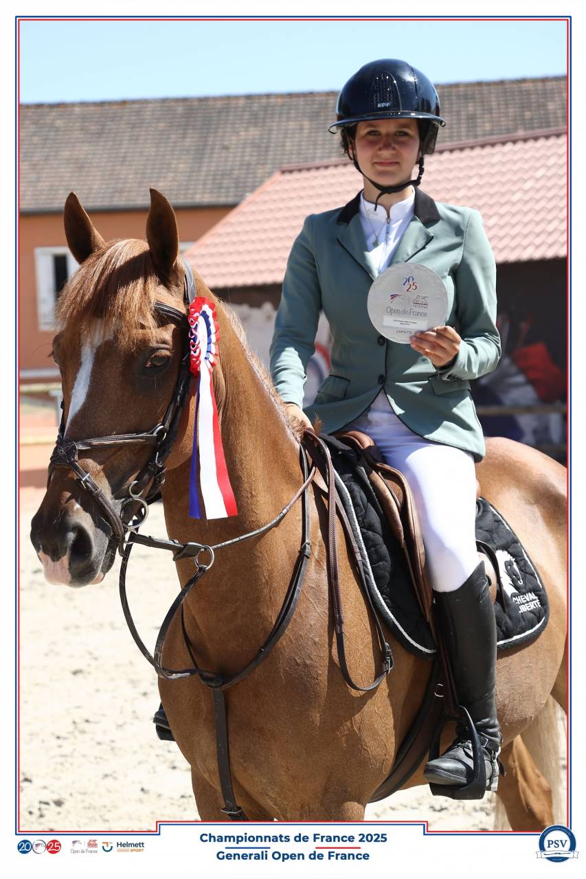 Ruin Franse rijpony PFS Te koop 2013 Koffie vos ,  Créole D'Angrie