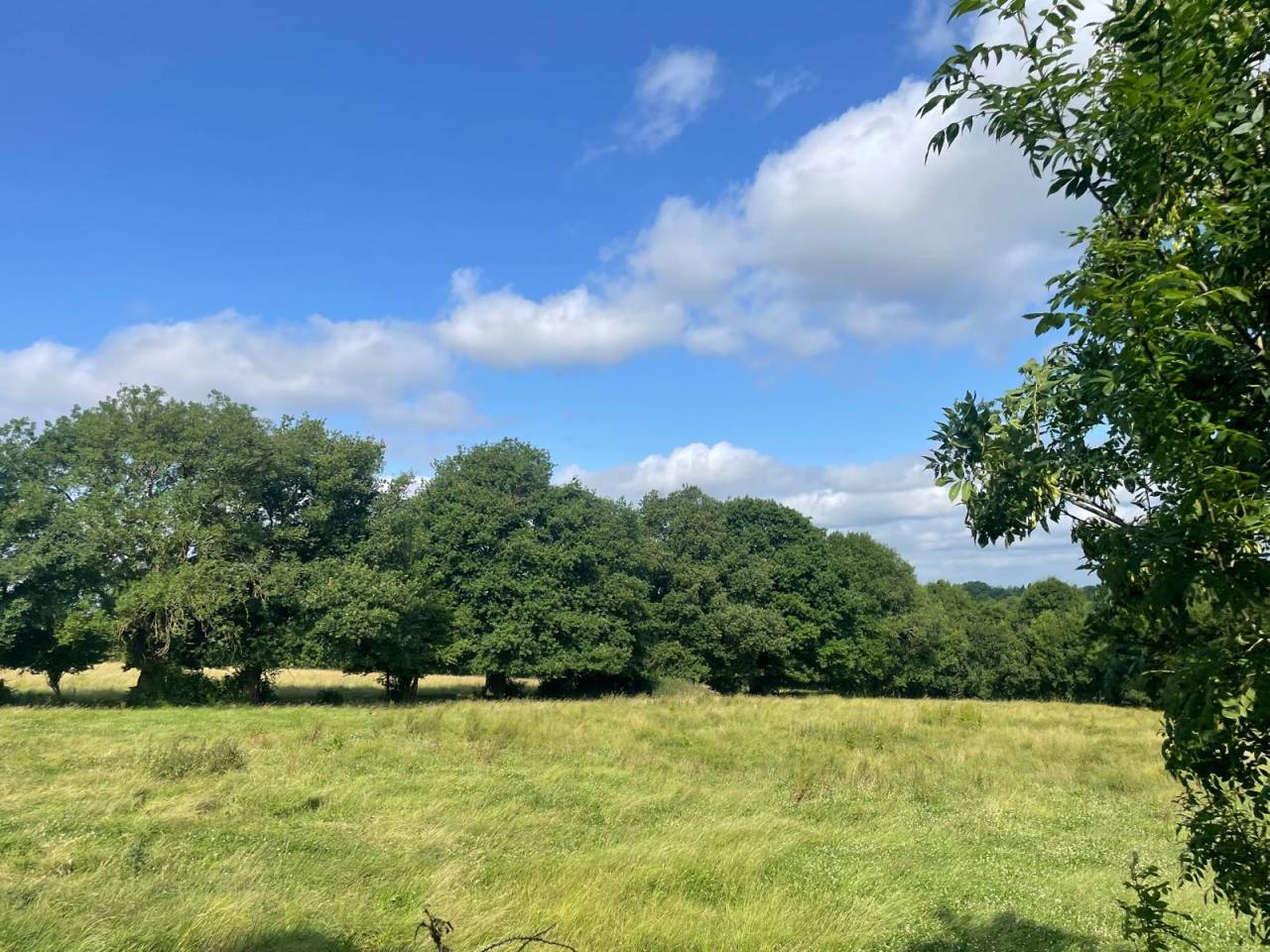 Hippisch vastgoed Koop Deux-Sèvres