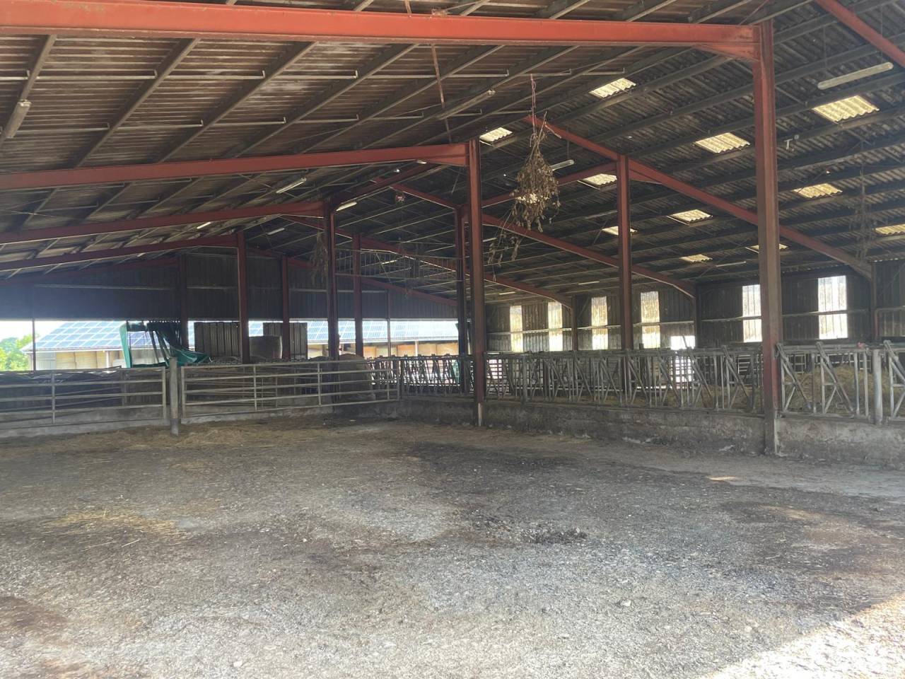 Hippisch vastgoed Koop Deux-Sèvres