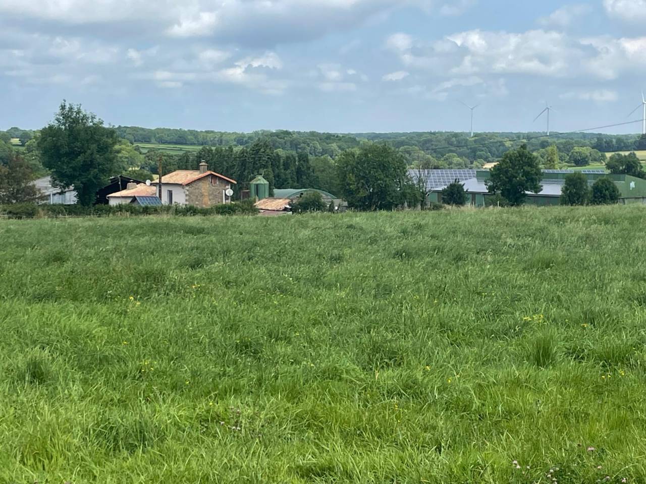 Hippisch vastgoed Koop Deux-Sèvres