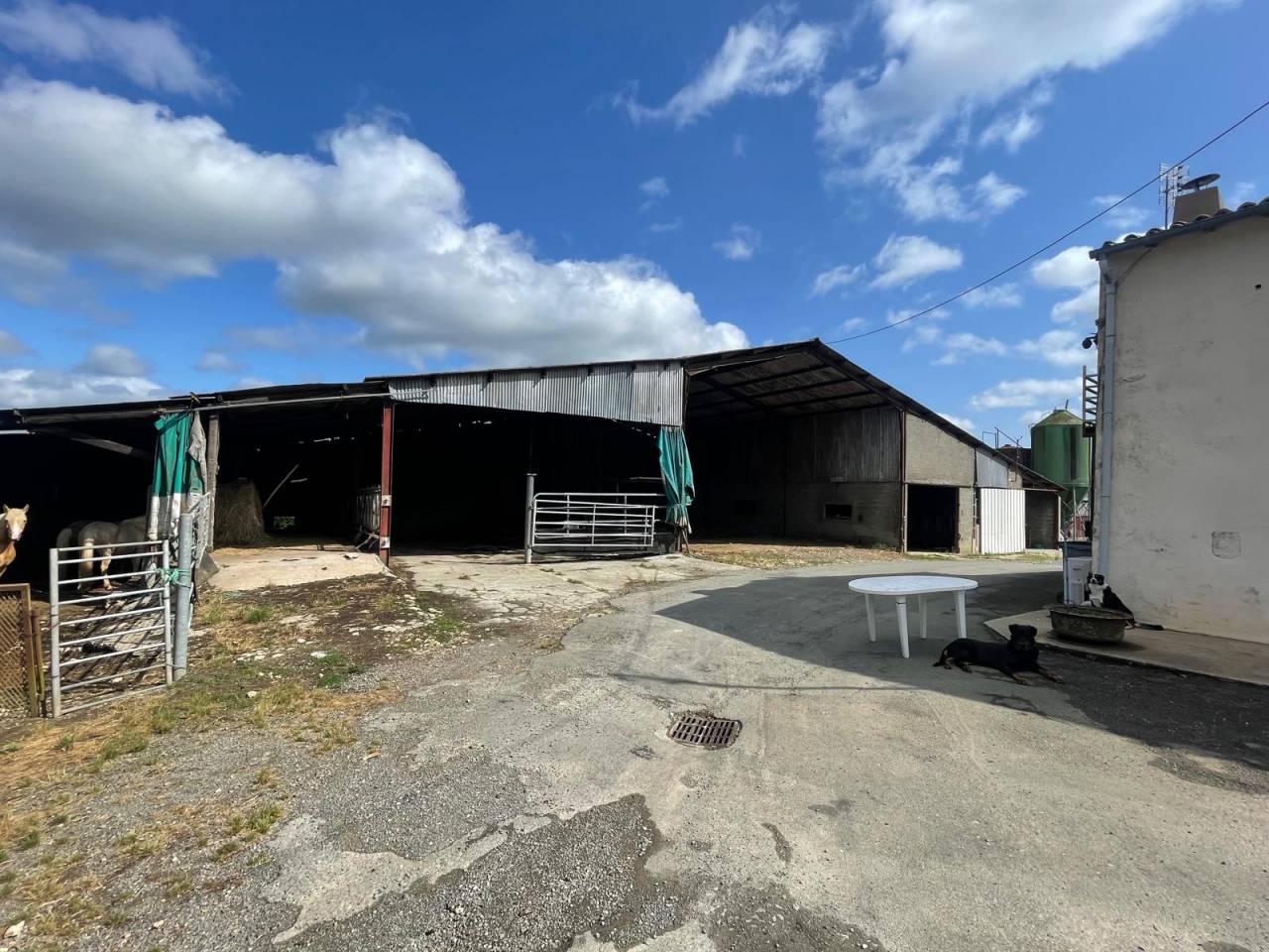 Hippisch vastgoed Koop Deux-Sèvres