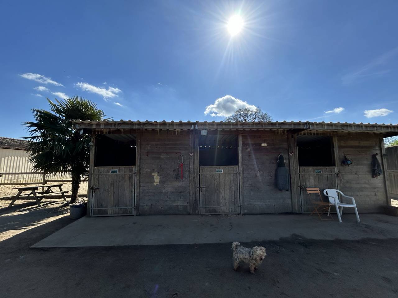 Mooi hippisch vastgoed Koop Vienne