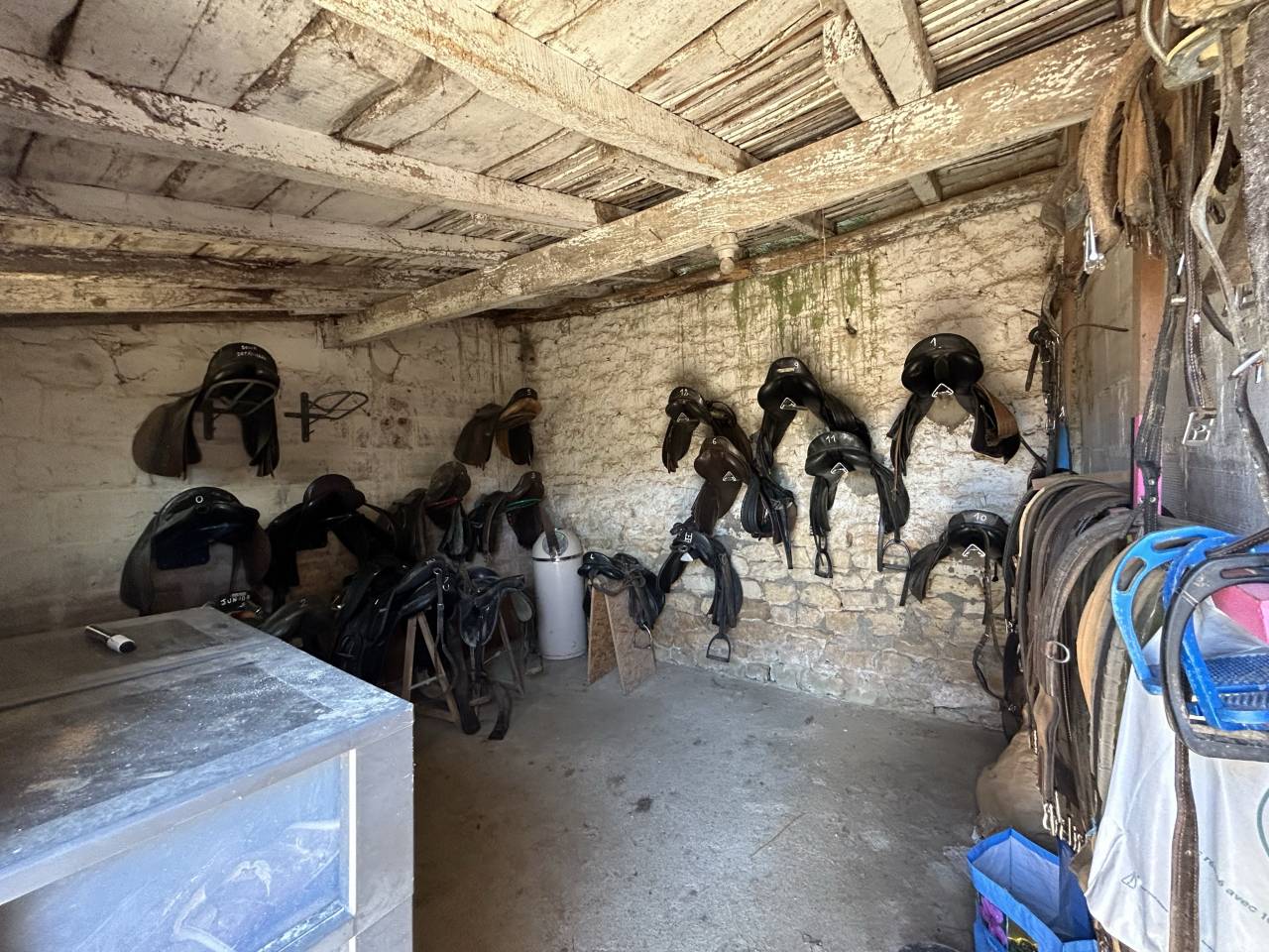 Mooi hippisch vastgoed Koop Vienne