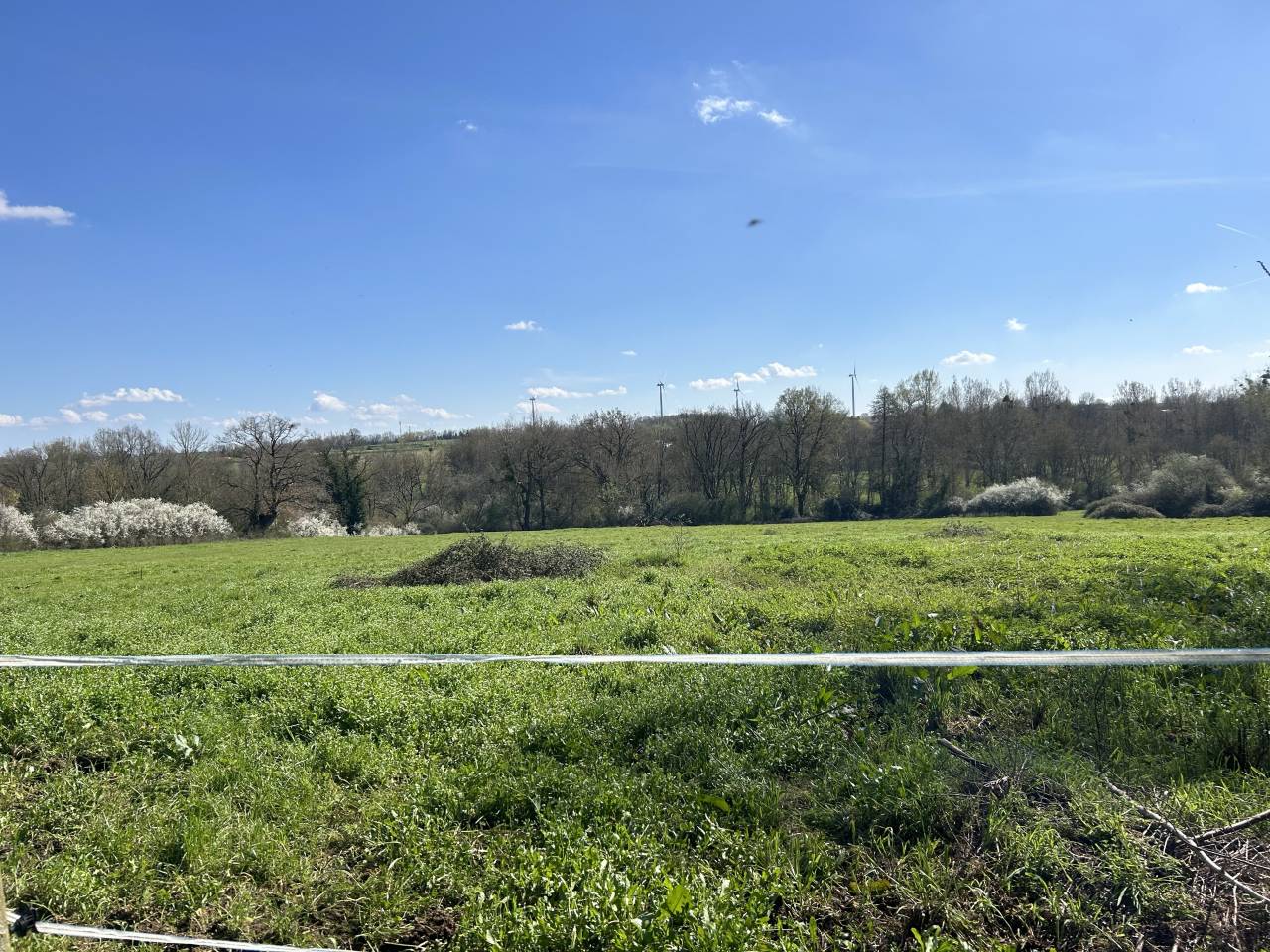 Mooi hippisch vastgoed Koop Vienne