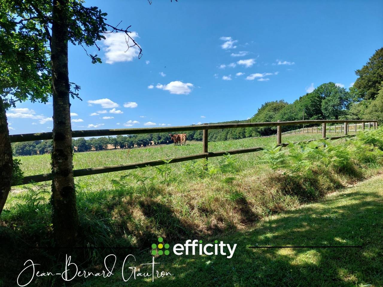 Hippisch vastgoed Koop Côte d'Armor