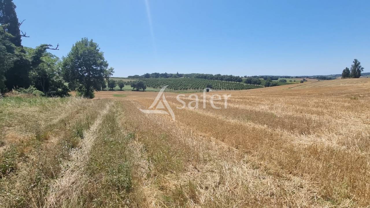 Landbouw bedrijf Koop Gers