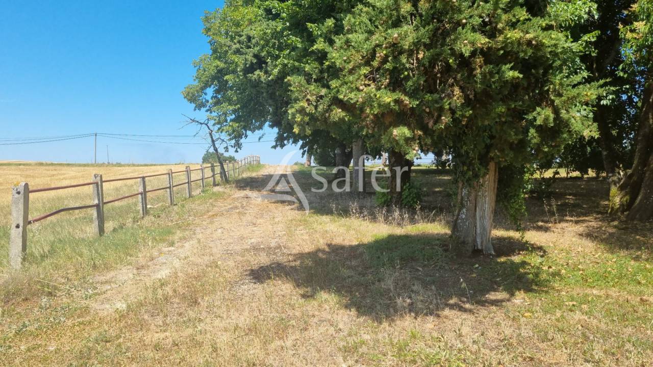 Landbouw bedrijf Koop Gers