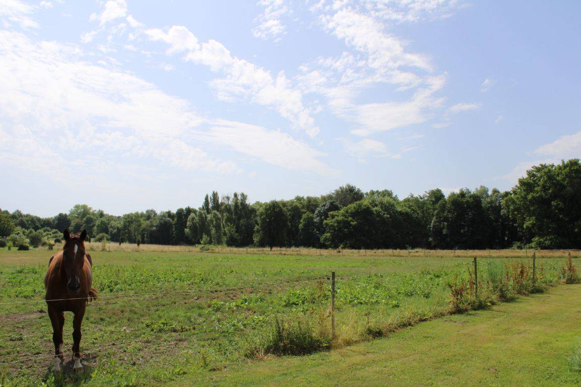 Hippisch vastgoed Koop Gironde