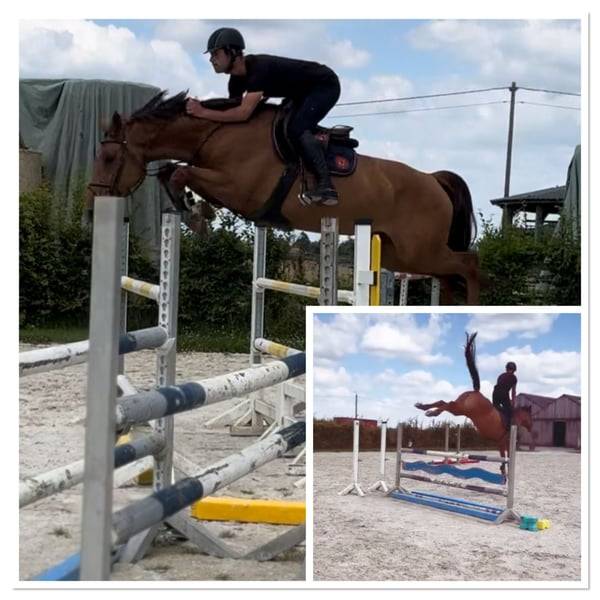 Merrie Zangersheide Te koop 2020 Vos ,  CICERO Z