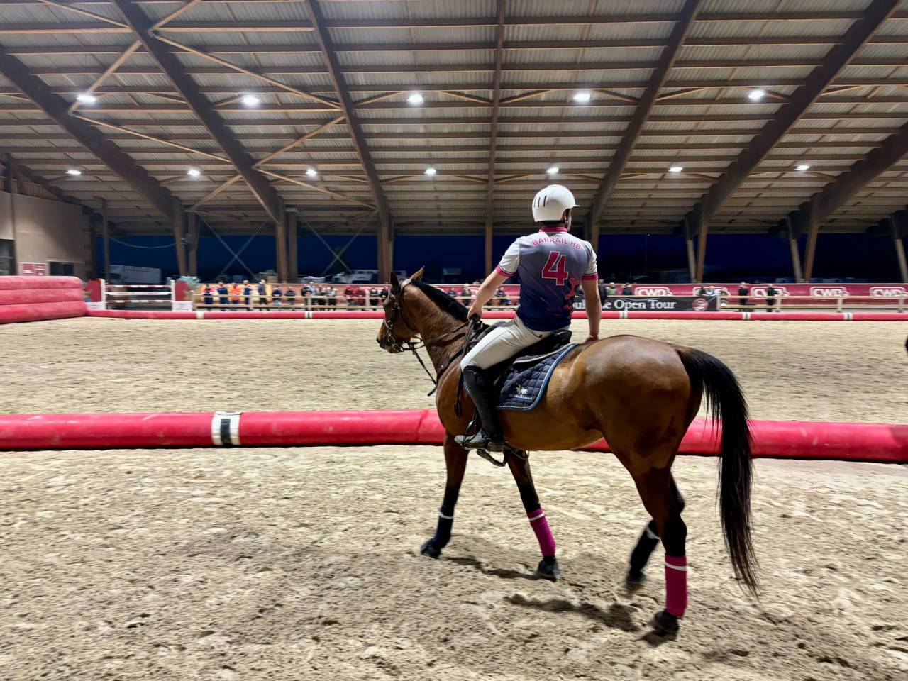 Ruin Anglo-Arabier Te koop 2013 Donker bruin / bai ,  MARRAST PS