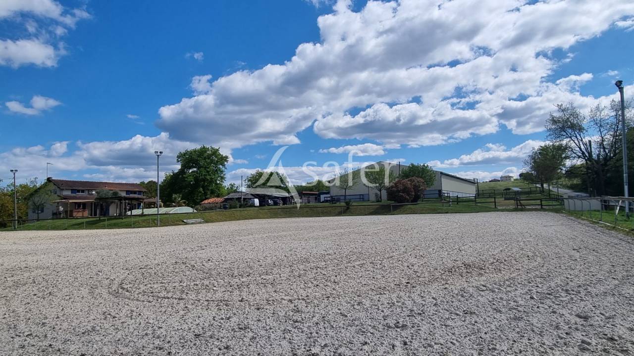 Hippisch vastgoed Koop tarn