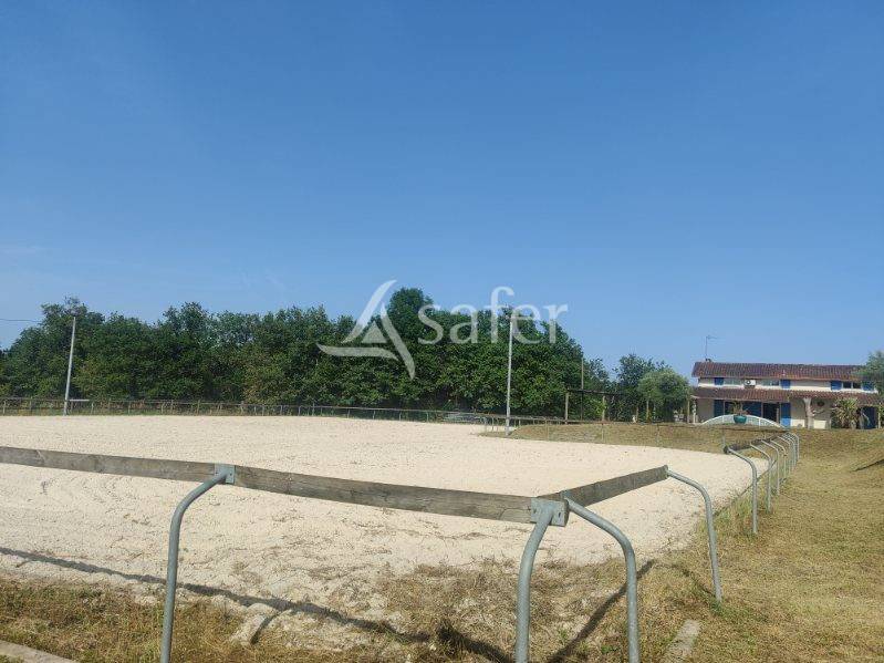 Hippisch vastgoed Koop tarn