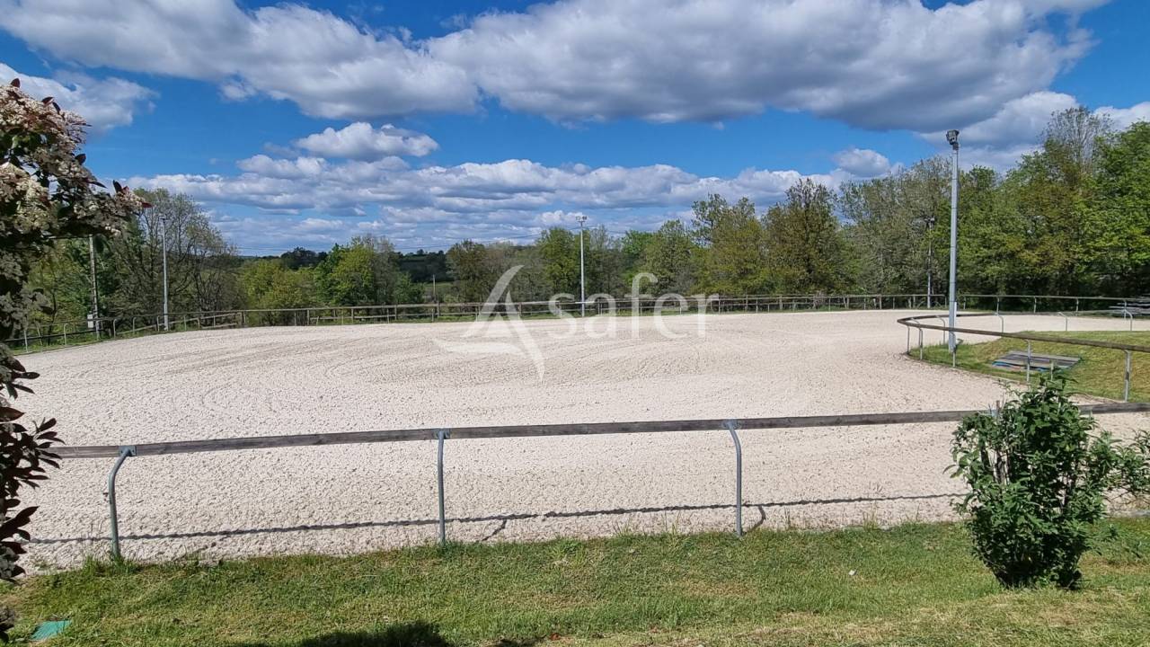 Hippisch vastgoed Koop tarn