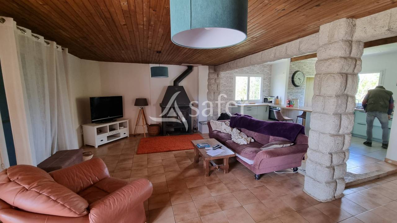 Hippisch vastgoed Koop tarn