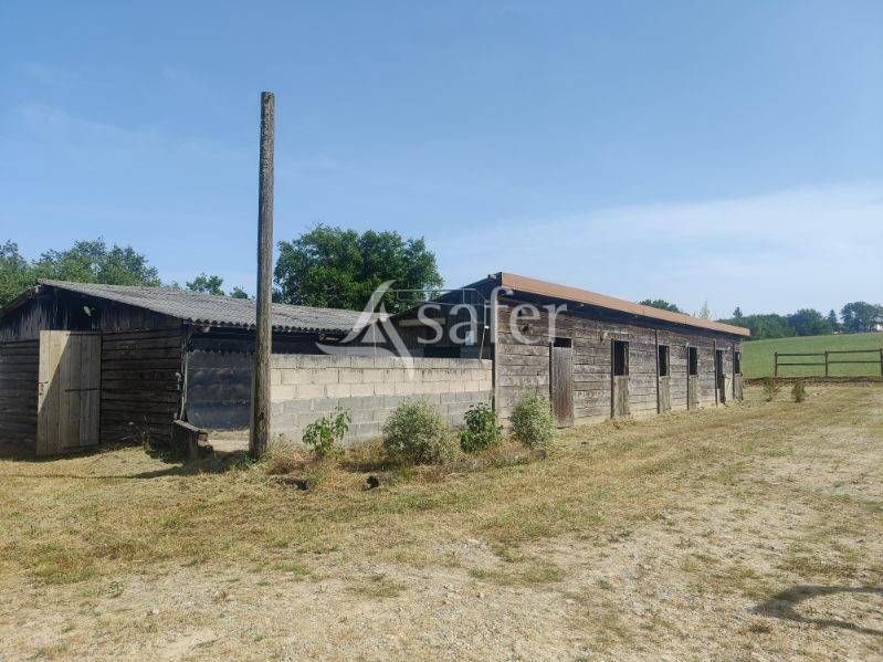 Hippisch vastgoed Koop tarn