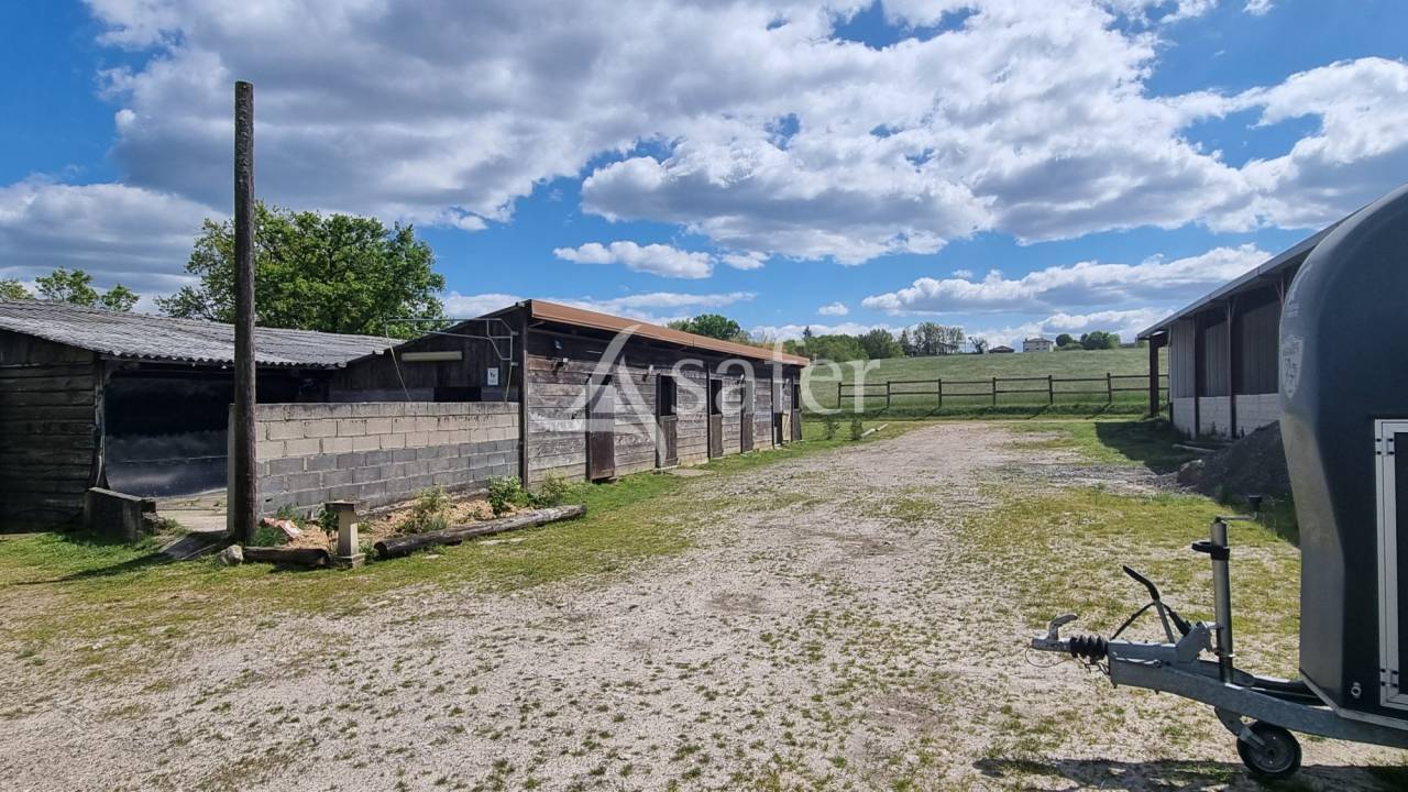 Hippisch vastgoed Koop tarn