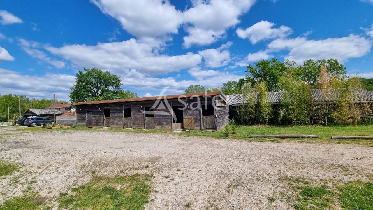Hippisch vastgoed Koop tarn