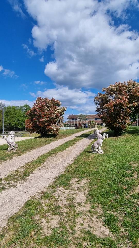 Hippisch vastgoed Koop tarn