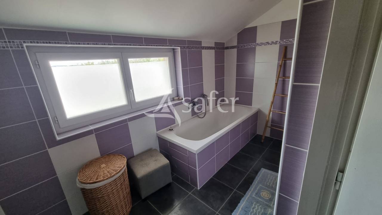 Hippisch vastgoed Koop tarn