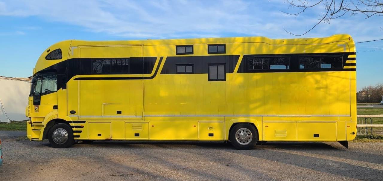 Zware paardenvrachtwagen (groot rijbewijs) Iveco STRALIS 19/360 2012 Tweedehands