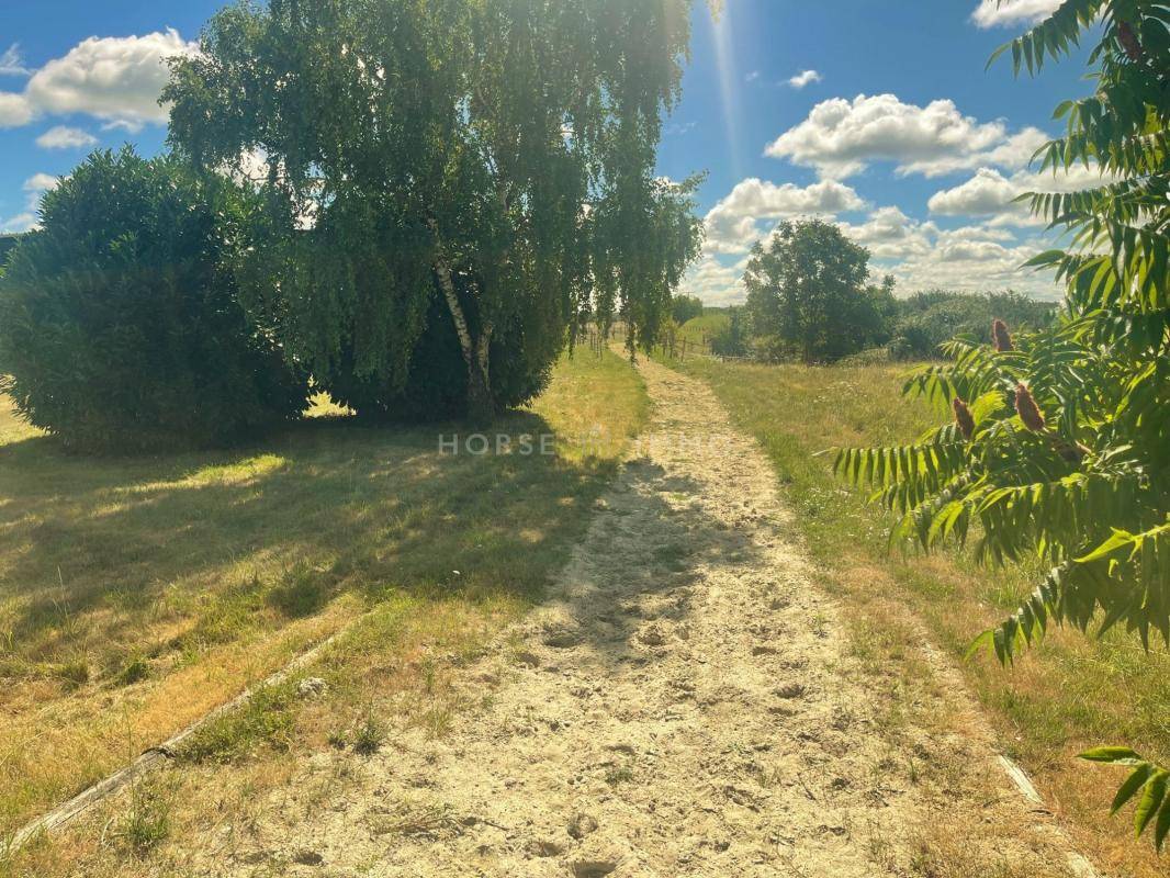 Stoeterij Koop Indre-et-Loire