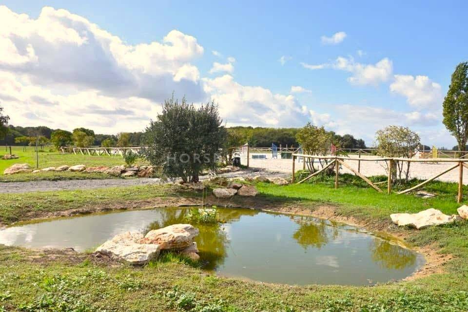 Stoeterij Koop Indre-et-Loire