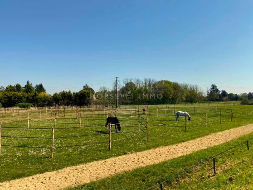 Stoeterij Koop Indre-et-Loire