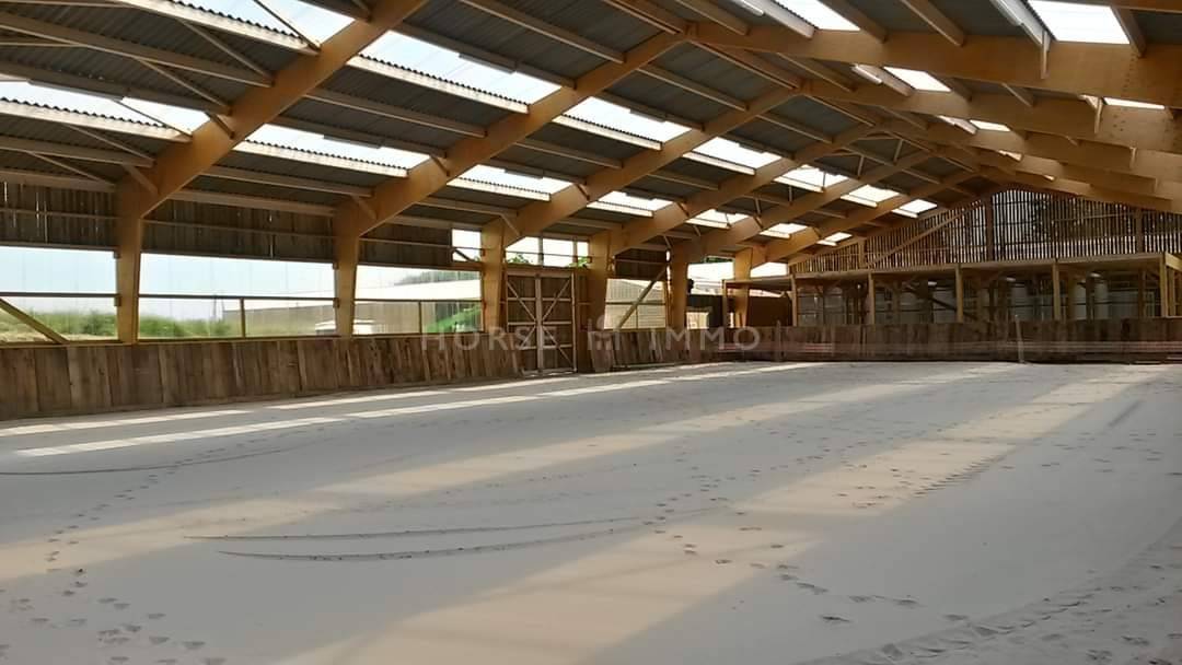 Hippisch vastgoed Koop Morbihan