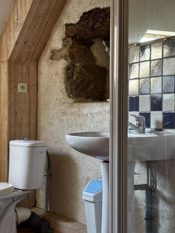 Hippisch vastgoed Koop Morbihan