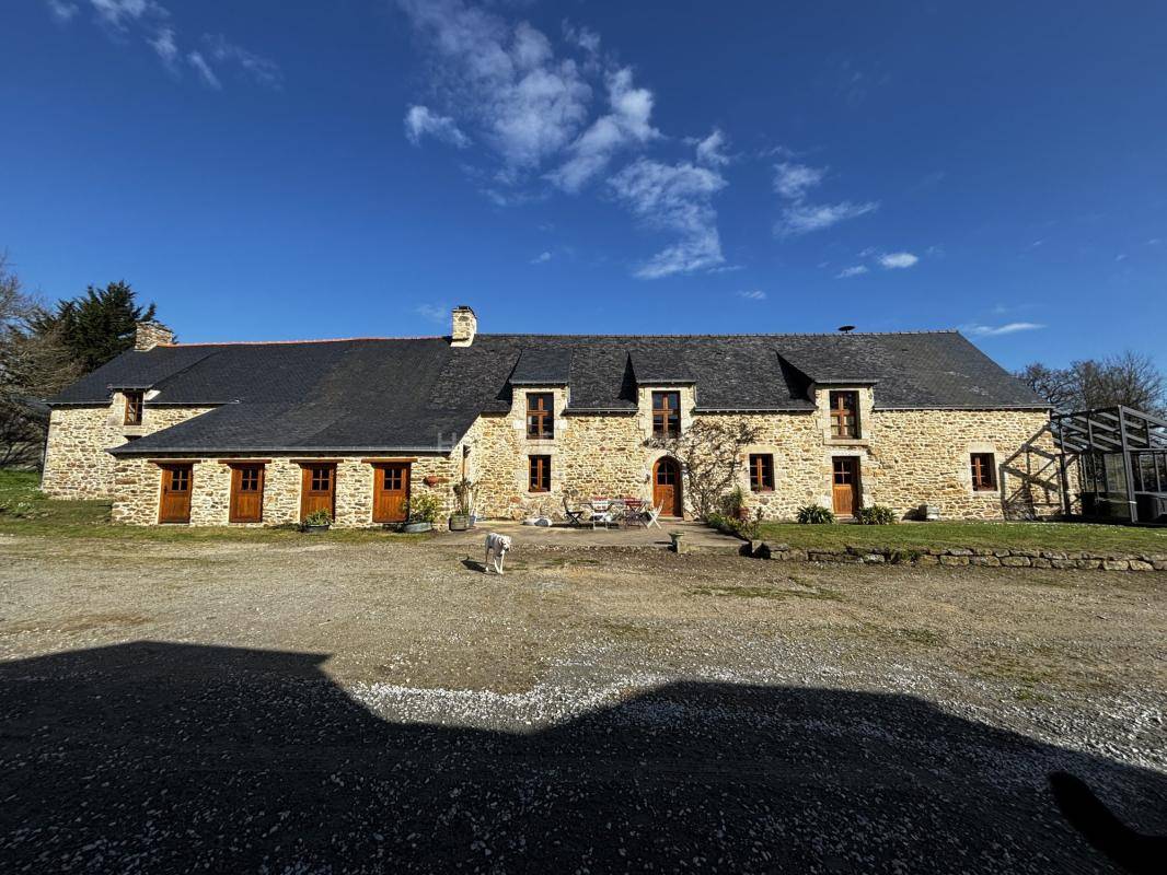 Hippisch vastgoed Koop Morbihan