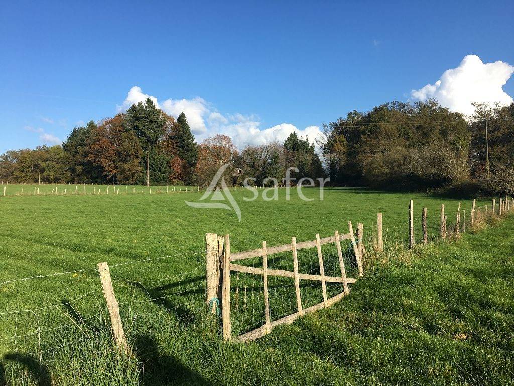 Landbouw bedrijf Koop Corrèze