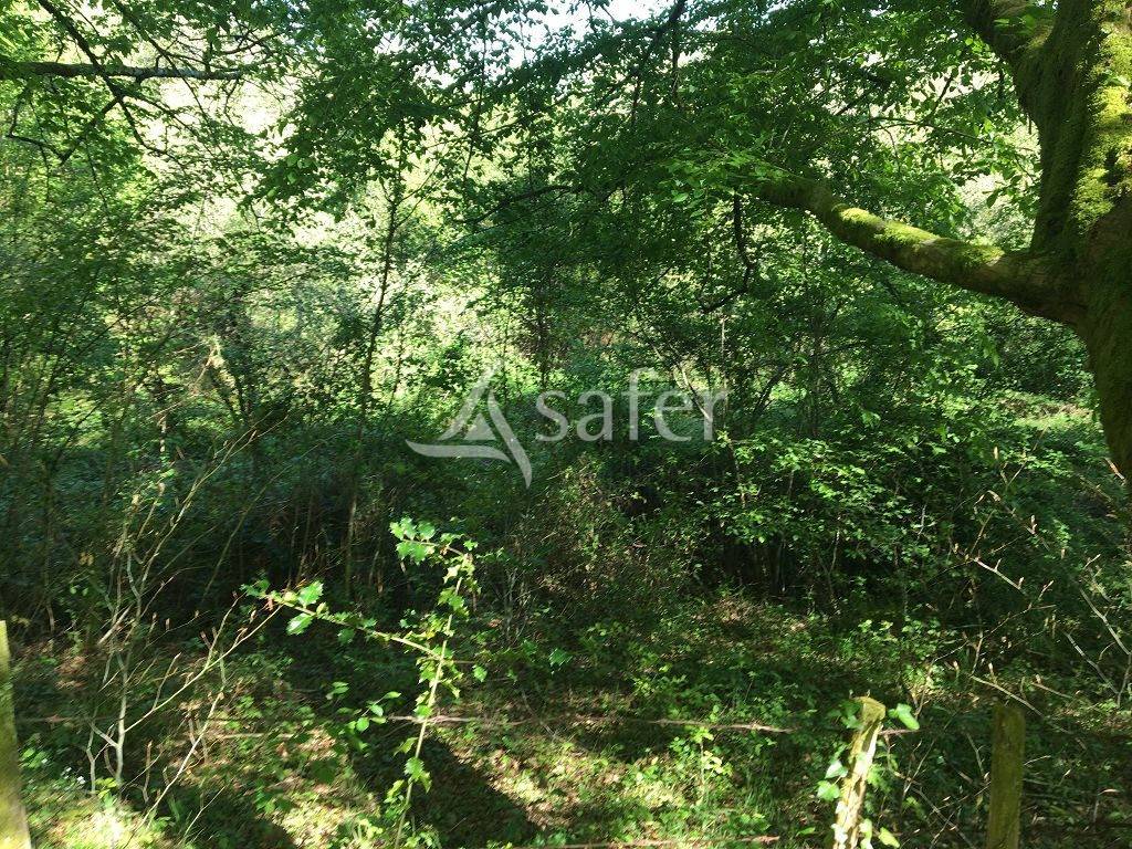 Ander plattelands vastgoed Koop Corrèze