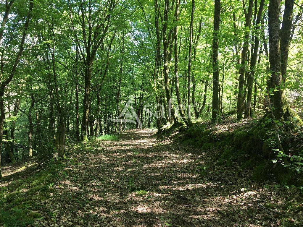 Ander plattelands vastgoed Koop Corrèze