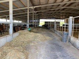 Hippisch vastgoed Koop Morbihan