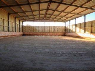 Hippisch vastgoed Koop Morbihan