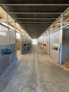 Hippisch vastgoed Koop Morbihan