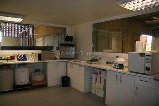 Hippisch vastgoed Koop Morbihan