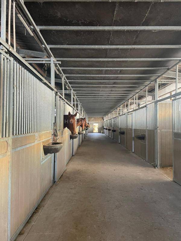 Hippisch vastgoed Koop Morbihan