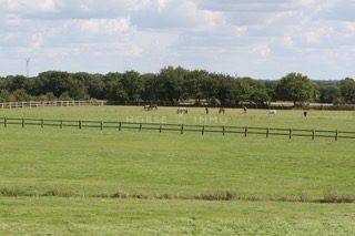Hippisch vastgoed Koop Morbihan