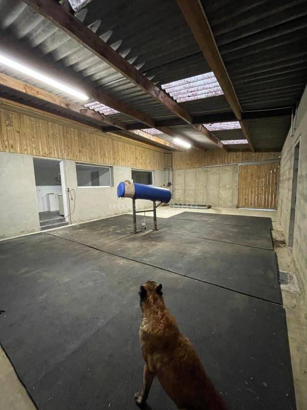 Hippisch vastgoed Koop Morbihan