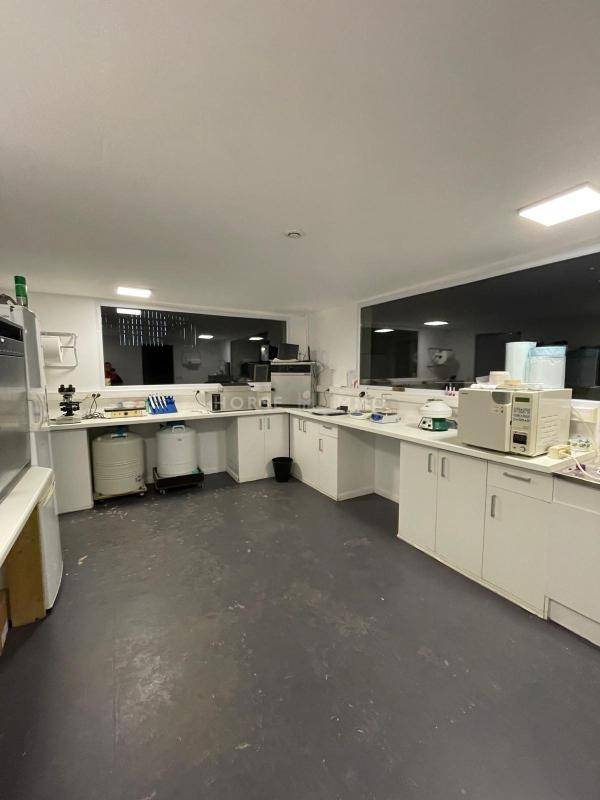 Hippisch vastgoed Koop Morbihan