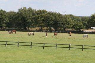 Hippisch vastgoed Koop Morbihan
