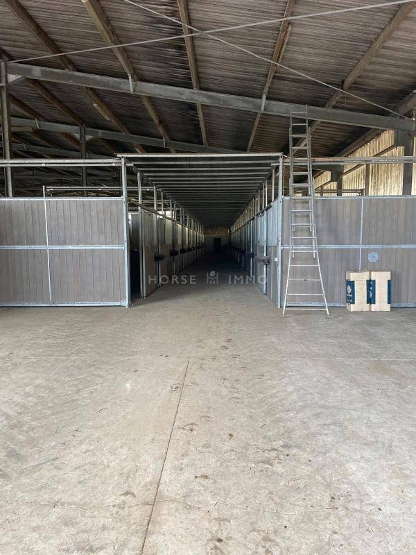 Hippisch vastgoed Koop Morbihan