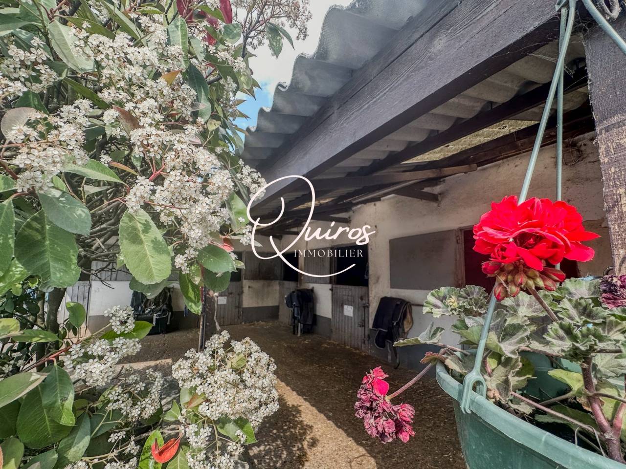 Hippisch vastgoed Koop Yvelines